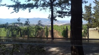 Aire CC Podere Il Coco, Montalcino