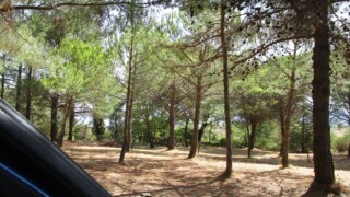 Aire CC Podere Il Coco, Montalcino