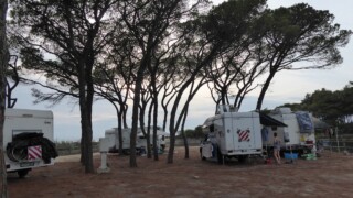 Aire CC Ai Delfini, Albinia