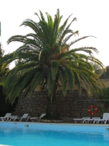 Camping Bar-sur-Loup