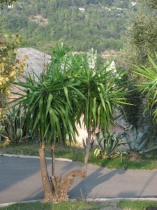 Camping Bar-sur-Loup