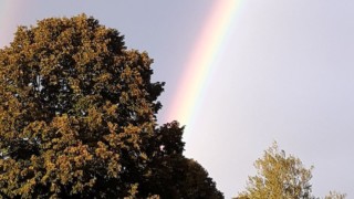 Camping La Grisière Clairvaux