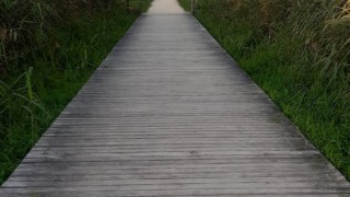 Camping TCS Gampelen