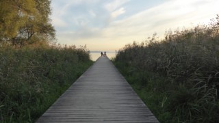 Camping TCS Gampelen