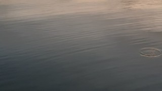 Camping TCS Gampelen