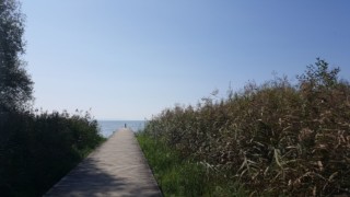 Camping TCS Gampelen