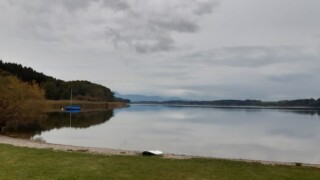 Simssee
