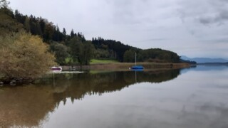 Simssee