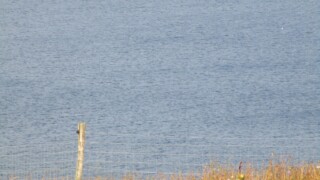 Camping Tarup Strand