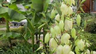 Camping Beau Village