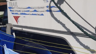 Camping Les Mouettes Veules les Roses