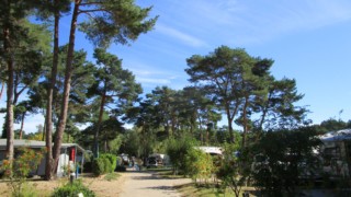 Camping Am Sandfeld, Koserow