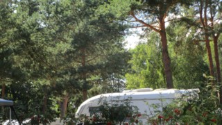 Camping Am Sandfeld, Koserow