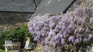 Camping de la baie de Térénez