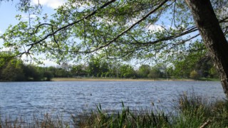 Camping de Courtille