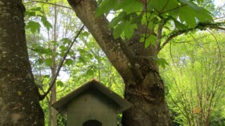 Alet-les-Bains, camping Val d'Aleth