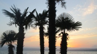 Camping Lido Bolsena