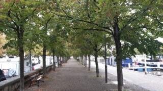 Aire CC port de plaisance de Nancy