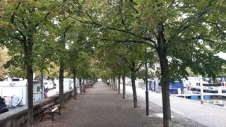 Aire CC port de plaisance de Nancy