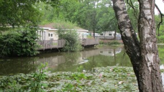 Camping Flaasbloem