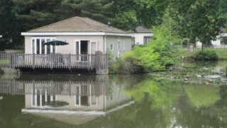 Camping Flaasbloem