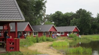 Camping Flaasbloem